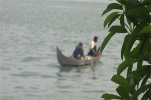 description