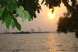 description