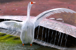 description