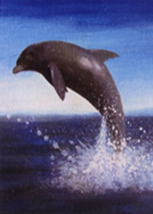 description