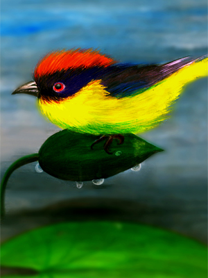 description