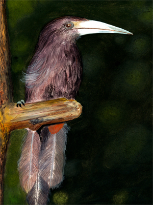 description