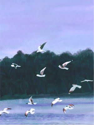 description